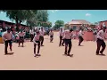 Download Lagu Maredi ft Banna Re Mokgobe - Moselele (official visualizer)