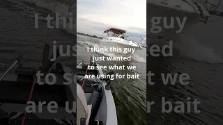 If Fishing was a thing in GTA 5 #boatfails #boating #fishing