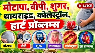 मोटापा, बीपी, शुगर, थायराइड, कोलेस्ट्रॉल, हार्ट प्रॉब्लम्स