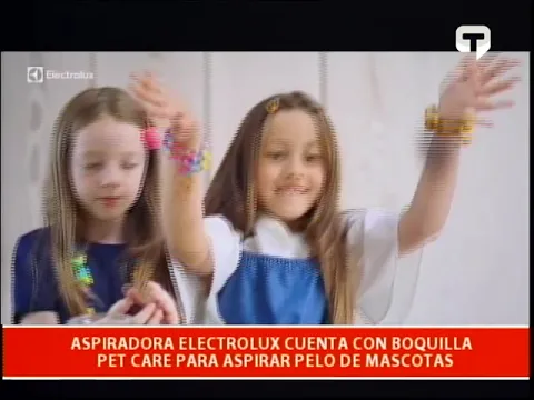 Aspiradora Electrolux cuenta con boquilla Pet Care para aspirar pelo de mascotas