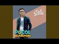Download Lagu Pocol Ngarepang