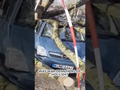 Baum fällt aufs Auto 🌳🚙