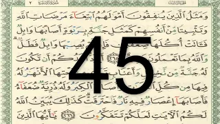 القرآن الكريم أيمن سويد الصفحة 45 