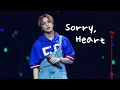 [4K] 250525 NCT DREAM HAECHAN 해찬 직캠 - Sorry, Heart @DREAM QUEST Day2