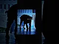Download Lagu MONTAGEM MEXICO ESTRANHO (Ultra Slowed)#shorts #MALZZANG