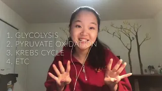 Cellular Respiration Song - That s What I Like