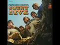 Psychotic Reaction - Count Five