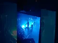 Angelmaker suffer forever