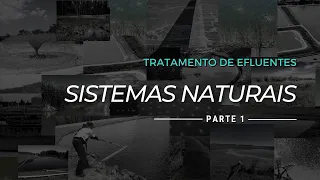 Sistemas naturais de tratamento de efluentes - Parte 1