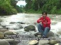 Download Lagu Ayam Modern Jawa Full HD