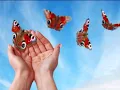My Peace - Maranatha Singers (With Lyrics)