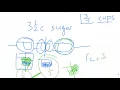Doubling and Halving a Recipe