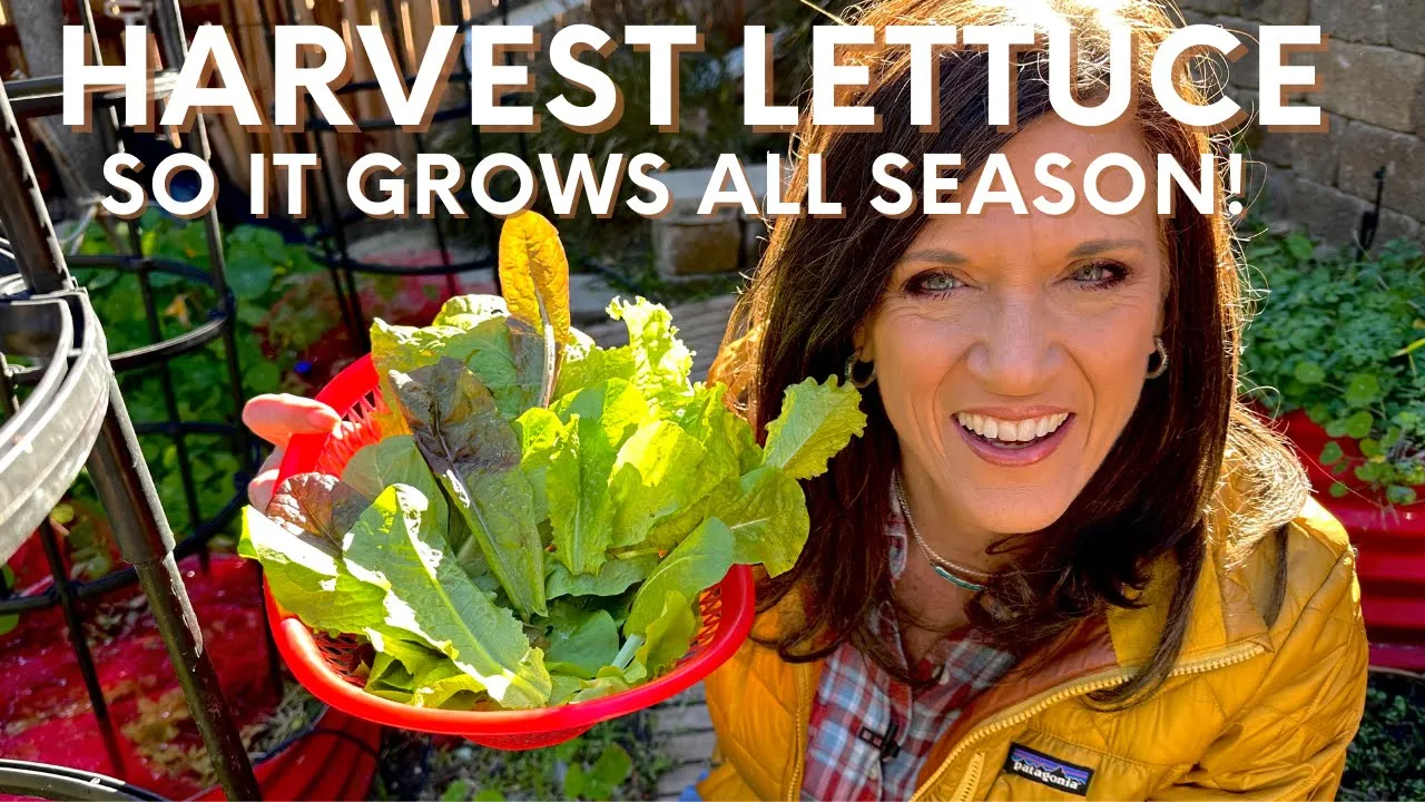 Video thumbnail from CaliKim Garden & Home