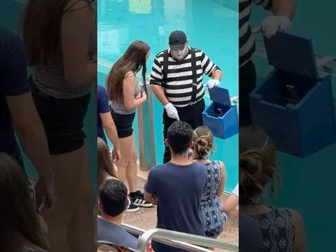 You never knew what was coming next! 👀 😹 Tom the mime Seaworld #seaworldmime #funny #comedy