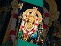 Download Lagu 🪷🌟🪷God murugan whatsapp status song in tamil#Lord muruga#Youtube shorts#Reels#God songs