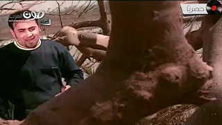 مجد القاسم عدى عليا 