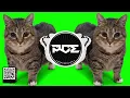 TECHNO ● W&W - OIIA OIIA .Spinning Cat (Thomas Deil & Rave Heaven Remix)