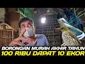Download Lagu CEK HARGA ! KEPODANG HUTAN, CIPOH JANTUNG, TALI POCONG PUTIH, CUCAK BIRU, DLL DIKIOS NASIKIN MP3