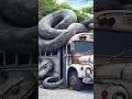 Download Lagu #shorts #amazing #cartoon #foryou #wildlife #snake #snakecartoon #nature #animals #owl #snakevideo