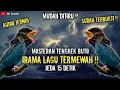 Download Lagu NGERIII..!!!MASTERAN TENGKEK BUTO || IRAMA LAGU TERMEWAH || JEDA 15 DETIK