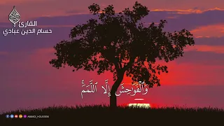 تلاوة هادئة  لسورة النجم برواية حفص عن عاصم  القارئ  حسام الدين عبادي  دندنها