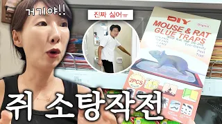 살면서 별걸 다 해보네 ㅋㅋ 말레이시아 주택 살이 스펙타클 합니다!