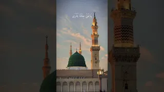 قلبي في المدينة بدون موسيقى Viralvideo Maherzain مدينة المنورة اكسبلور Duet 