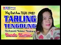 Download Lagu BUNDA MUMUN ~~ FULL ALBUM II TARLING TENGDUNG II VLOG REST AREA TEGAL OMBO