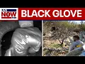 Lagu Black glove found near Nancy Guthrie's home, report says