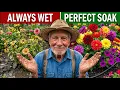 7 Watering Mistakes to Avoid 40 Years Taught Me the Hard Way