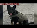 Osage County Sheriff Receives Donated K9 Vests
