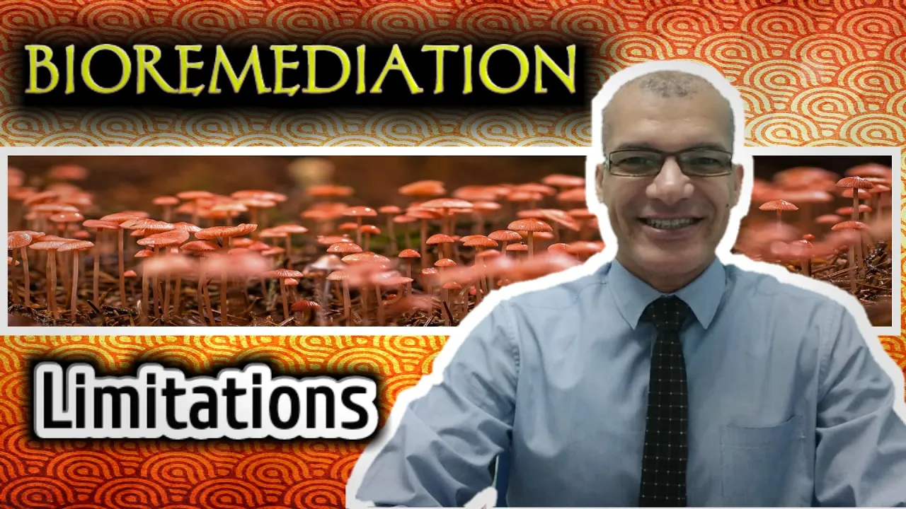 Bioremediation: Limitation, How Does It Works? and Why Microbes used?