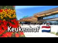 Download Lagu Virtuele wandeling door de Keukenhof | 2022 | Lisse | Nederland 🇳🇱