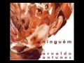Download Lagu ARNALDO ANTUNES - ninguém