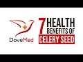 7 Health Benefits Of Celery Seeds