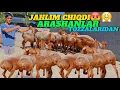 Download Lagu DOPPILI BOLANI JAHLI CHIQDI ARASHANLAR TOZZALARIDAN EGIZAKLAR ARZON BOLDI🤝😱👍