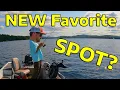 I DIDN T MOVE FOR HOURS - NEWFOUND LAKE NH