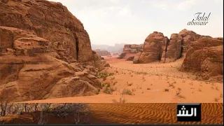 خيبة وطن دندنها