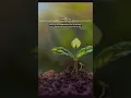 Download Lagu Jangan ambil tanah orang lain.sejatinya manusia berasal dari tanah \u0026 akan kembali ke tanah #reminder