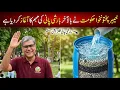 KPK Government Starts Rainwater Harvesting Pakistan s Water Crisis Solution Starts Now
