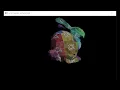 Software Renderer