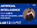 Vectorization One hot encoding NLP Data Preprocessing for Deep Learning Lab 13