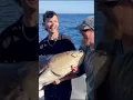 Download Lagu World Record incoming for Jazz Charters in west Oz with this GIANT!!! See description for more!