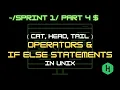 Cat head tail commands Operator and If else Statements in