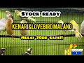 Download Lagu Kenari mulai harga 70rb!!