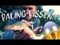 Download Lagu FISHING FOR EEL?! ( Paling vissen met de pen)