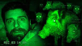 What Happens outside my Survival Shelter at night?