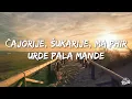 HUGEL, Sascha Braemer - Caje  (Lyrics)