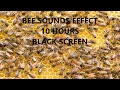 Download Lagu Bee Sound Effect | 10 Hours | Healing Sounds | Black Screen | ASMR