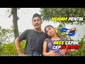 Download Lagu DJ NYIDAM PENTOL BASS CEPAK CEPAK JEDER - KSG PROJECT